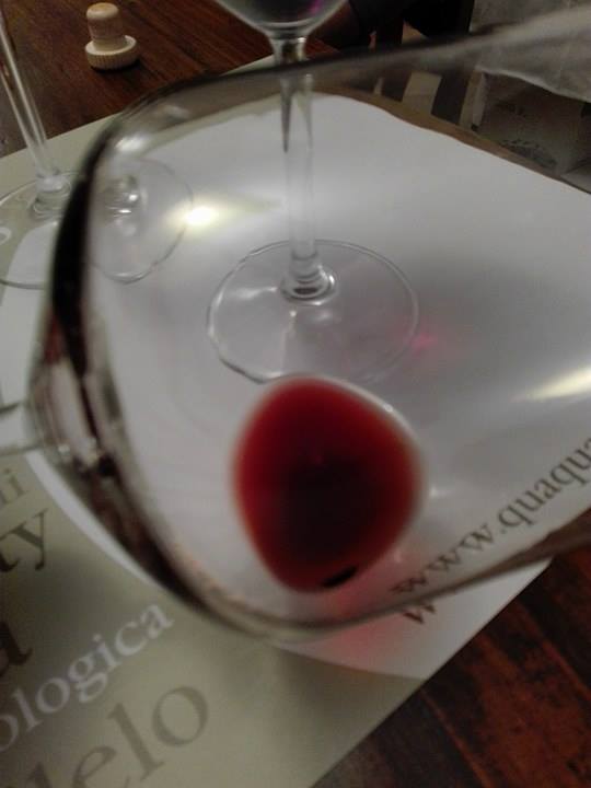 quaquarini vino oltrepo pavese bonarda classese buttafuoco sangue di giuda ughetta canneto 12