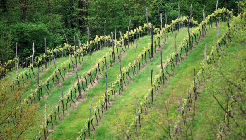 Il Veneto e i suoi Calici di Stelle Asolo Prosecco 1024x685 1