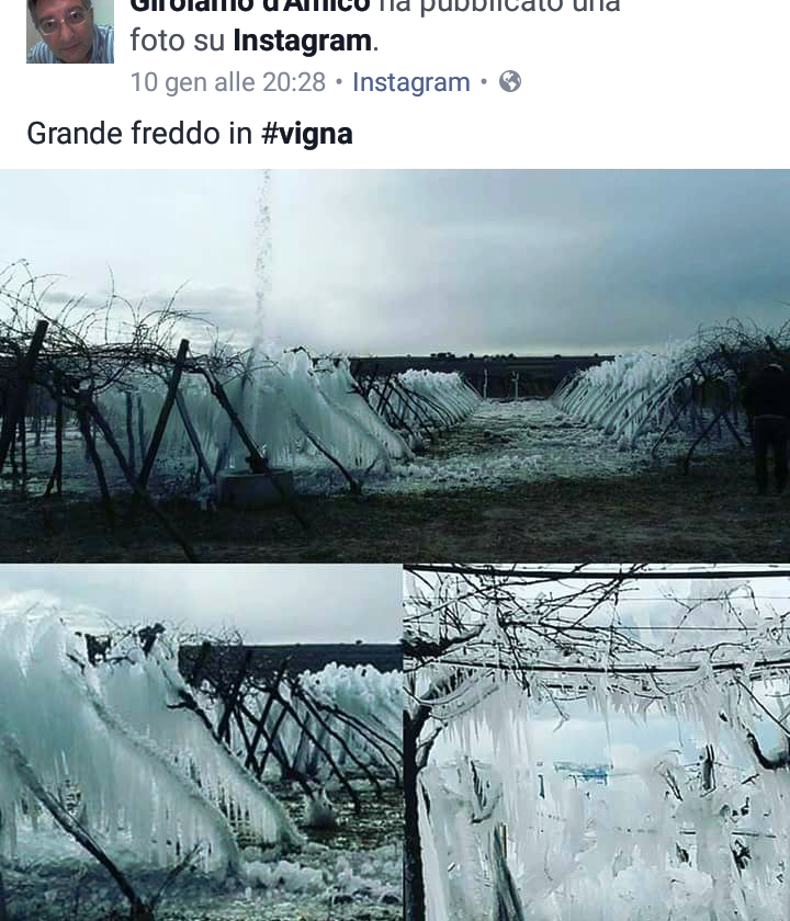 puglia neve in vigna 1