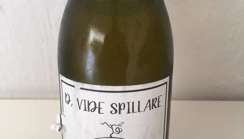 Garganega L1 Davide Spillare 4