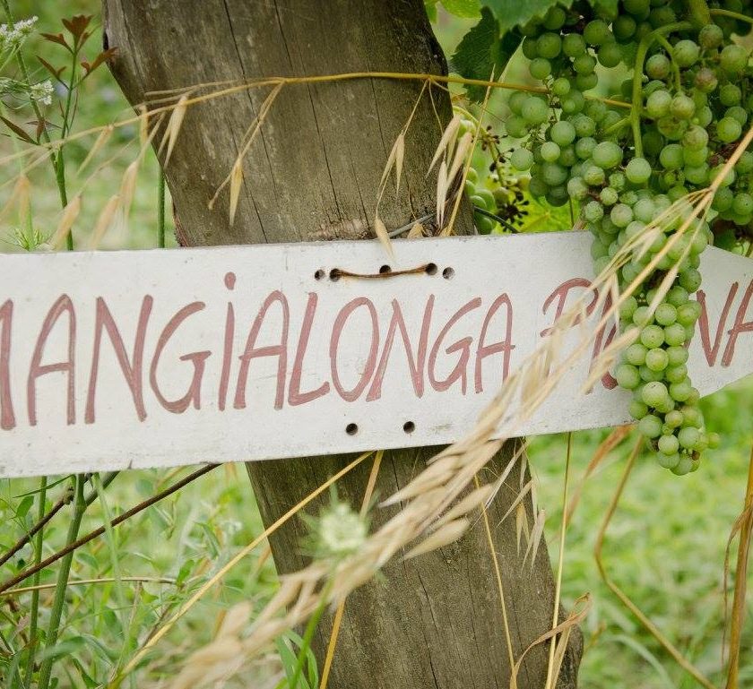 Mangialonga Picena 2017 7