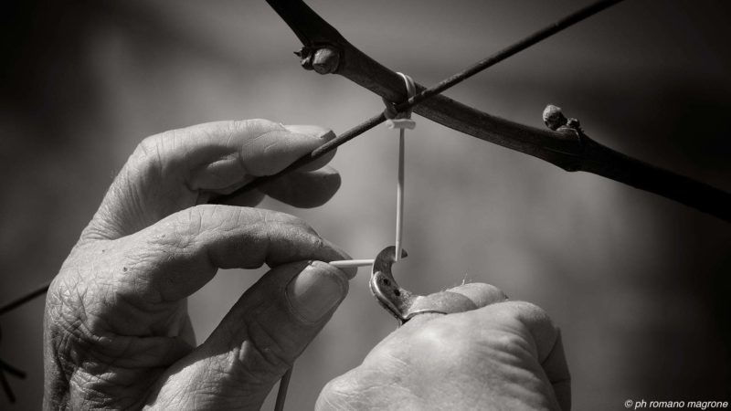 ROM1527 bn e1492861820621