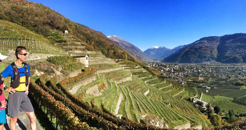 valtellina wine trail 1024x444