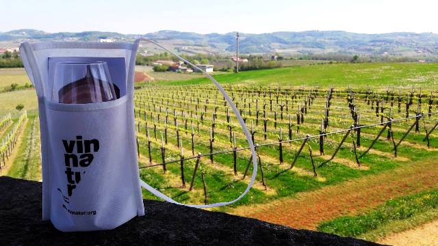 vinnatur villa favorita 1