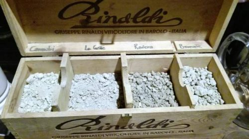 azienda agricola rinaldi 1