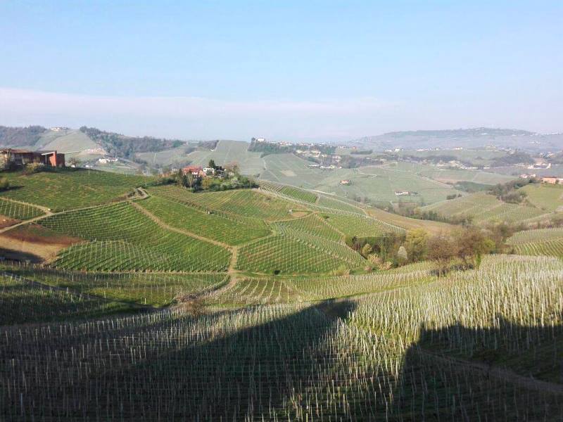 langhe piemonte wine tour vinialsuper 1