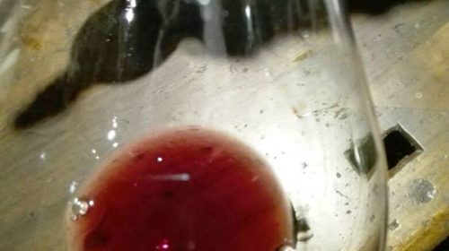 langhe piemonte wine tour vinialsuper 10