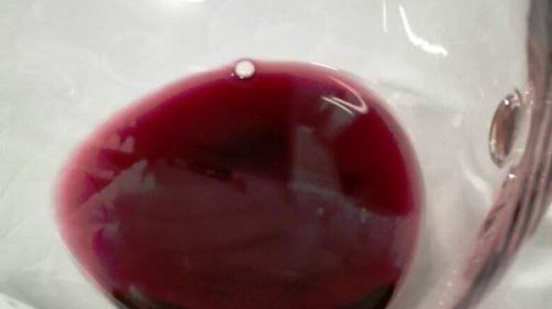 langhe piemonte wine tour vinialsuper 11