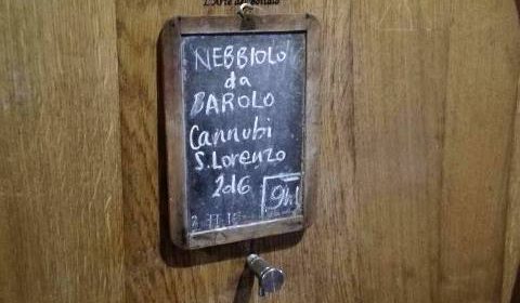 langhe piemonte wine tour vinialsuper 12