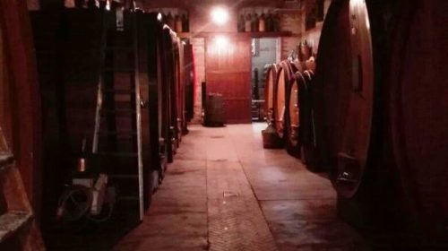 langhe piemonte wine tour vinialsuper 13