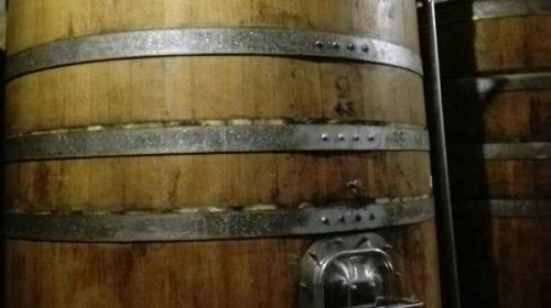 langhe piemonte wine tour vinialsuper 5