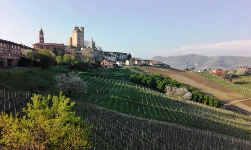 langhe piemonte wine tour vinialsuper 7 5