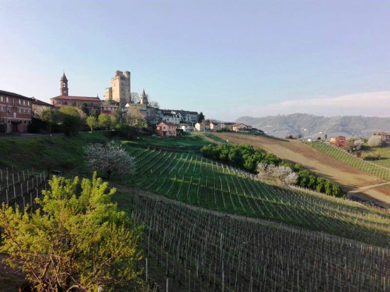 langhe piemonte wine tour vinialsuper 7 5