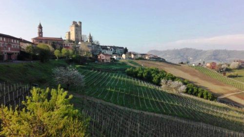 langhe piemonte wine tour vinialsuper 7 6