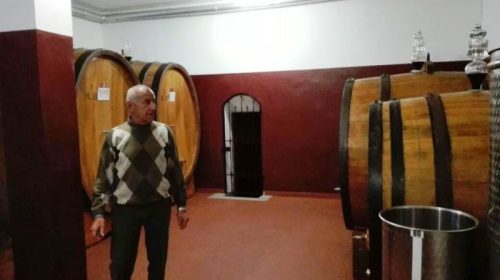 langhe piemonte wine tour vinialsuper 8