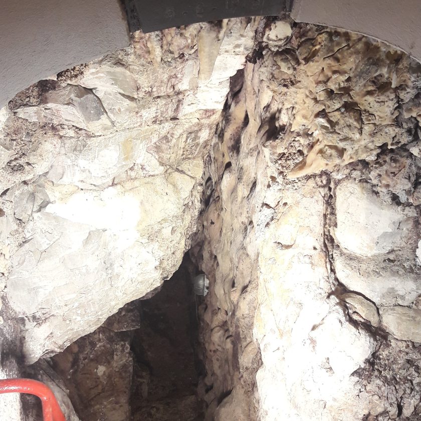 moscato di scanzo de toma scanzorosciate bergamo cantina giacomo 16 scaled