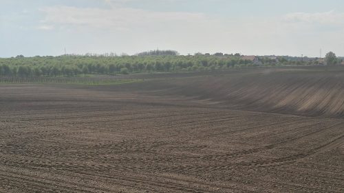 vigne moravia vino repubblica ceca valtice wine tasting 5