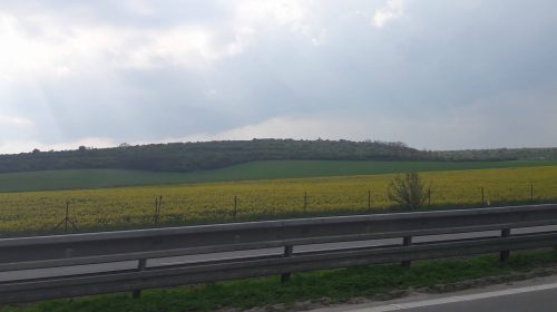 vigne moravia vino repubblica ceca valtice wine tasting 6