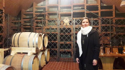 vigneto santa clara praga vino wine tasting tour eliska muchnova 15