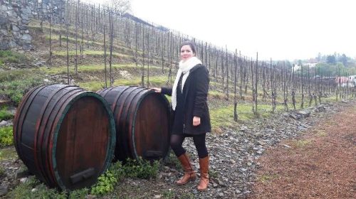 vigneto santa clara praga vino wine tasting tour eliska muchnova 18 1