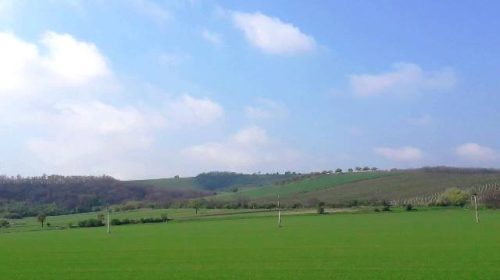 vino moravia wine tour vino repubblica ceca