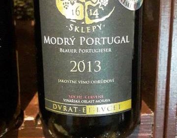 vino praga Castello di Lednice Valtice centro vinicolo nazionale Narodni Vinarske Centrum repubblica ceca wine tasting 23