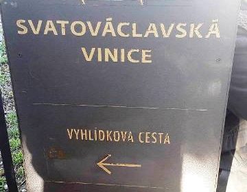 vino praga vigneto san venceslao villa richter 11