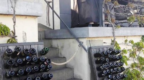 vino praga vigneto san venceslao villa richter 12