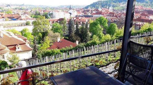 vino praga vigneto san venceslao villa richter 5