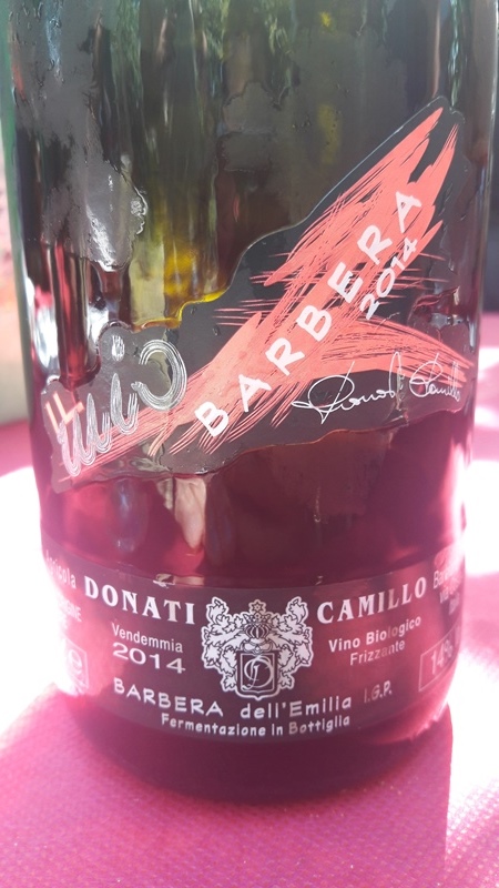 Barbera 2014 Camillo Donati Emilia sur li