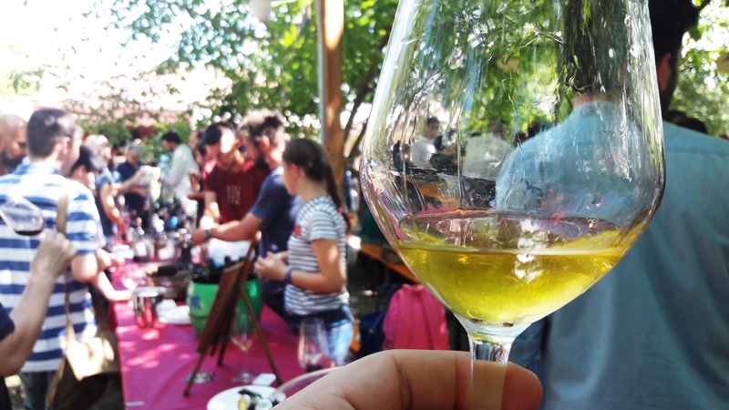 Emilia Sur Li vini rifermentati emilia parma 2