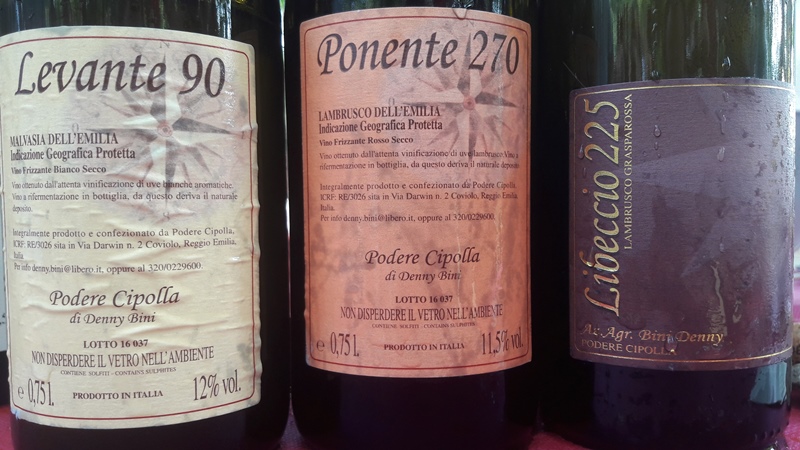 Lambrusco dellEmilia Igp Frizzante Rosso Secco Ponente 270 Podere Cipolla Denny Bini