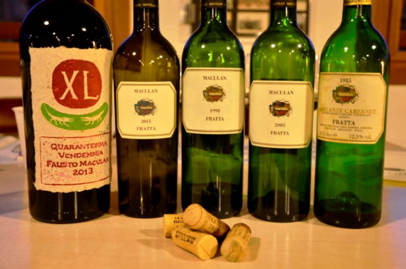 maculan viti resistenti alle malattie