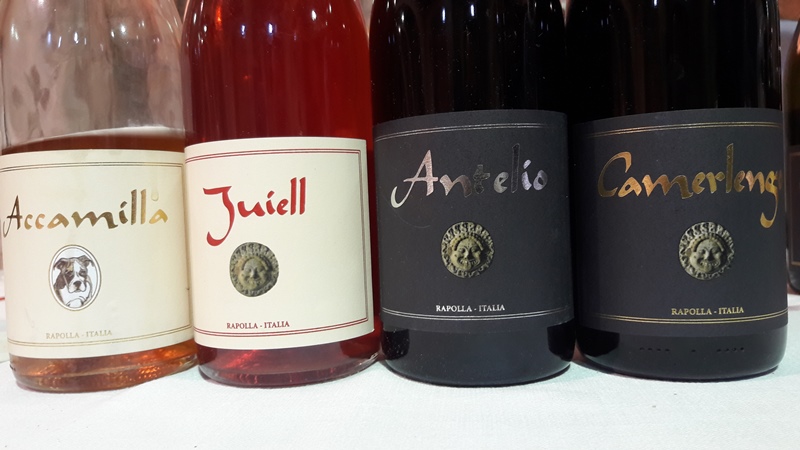 radici del sud 2017 migliori vini 10