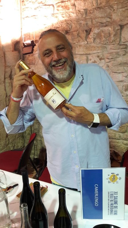 radici del sud 2017 migliori vini 9 e1496916783449