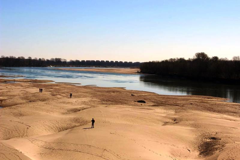 siccita coldiretti piante da frutto danni