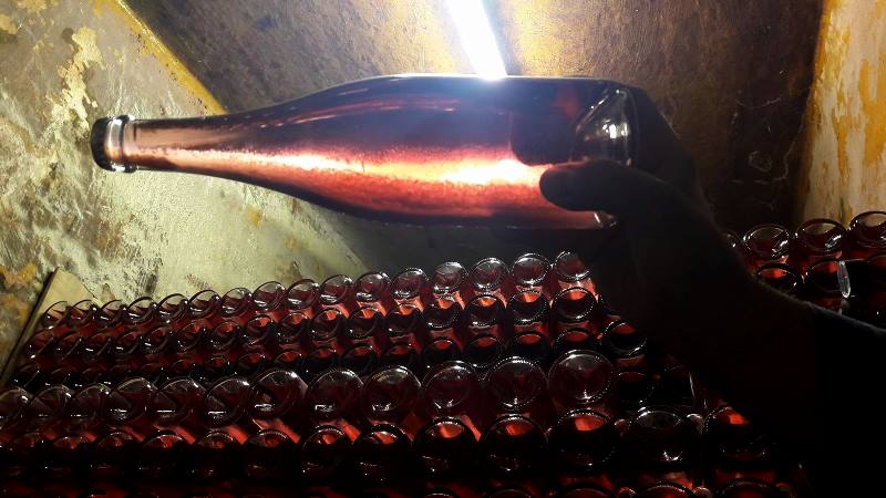 Fabio Marazzi cantina scuropasso pinot nero roccapietra oltrepo pavese 29