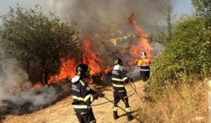 Incendi coldiretti e1500304292904 300x175