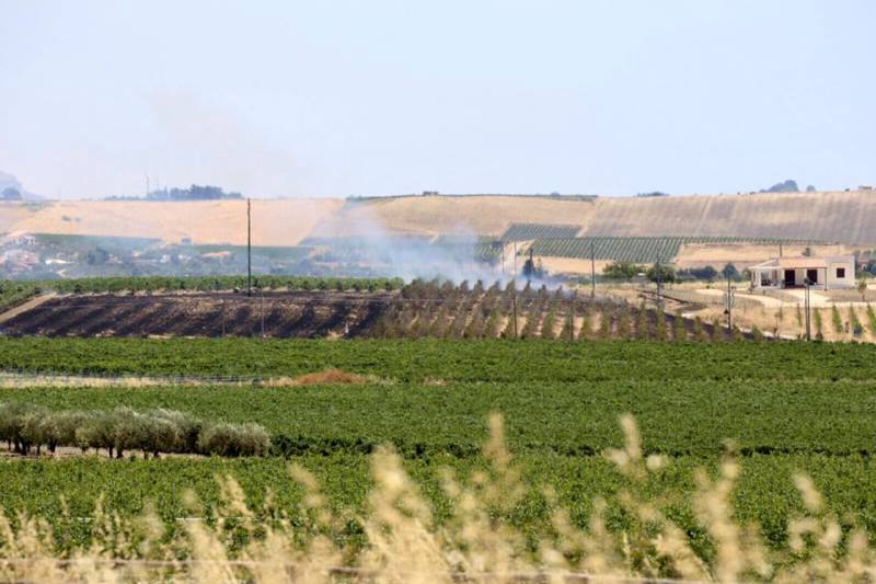 incendio vigneti sicilia marilena barbera 1