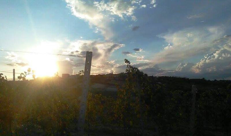 tenuta garetto agliano terme asti 1