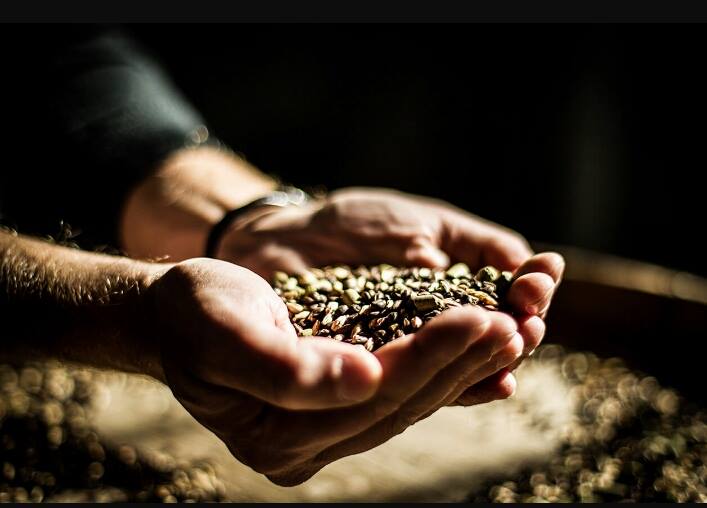 20706761 10213775199403862 397414704 n