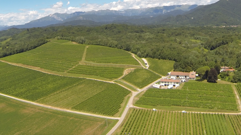 Tenimenti Civa cantina vino friuli supermercato 2 1