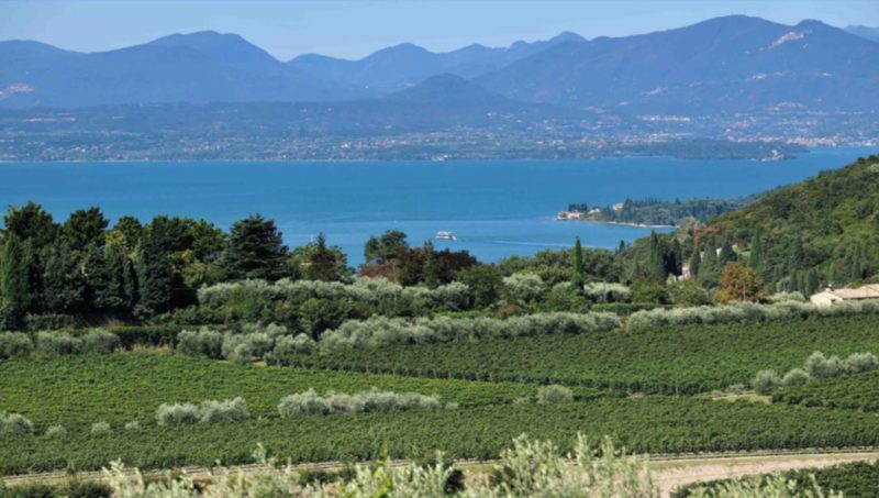 chiaretto bardolino separazione nuova doc 1