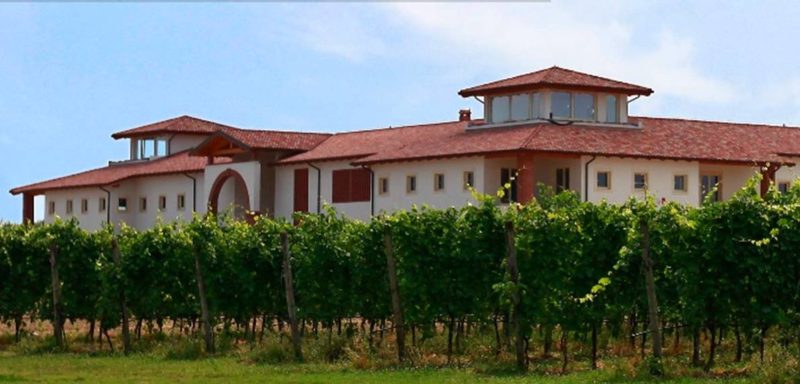 le morette fabio zenato garda vendemmia 2017