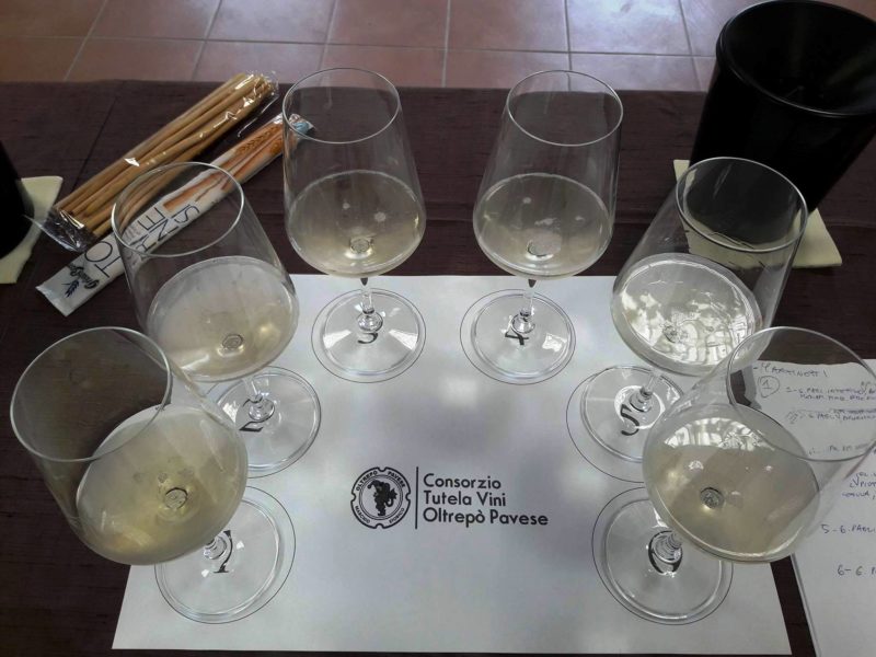 pinot nero oltrepo pavese charmat metodo classico vinialsuper 4