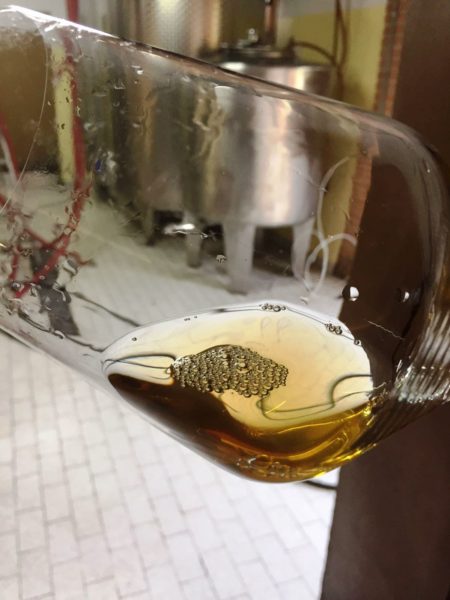 Davide Spillare discepolo Maule diventato grande 4