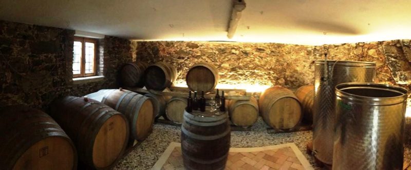 Davide Spillare discepolo Maule diventato grande 5 1