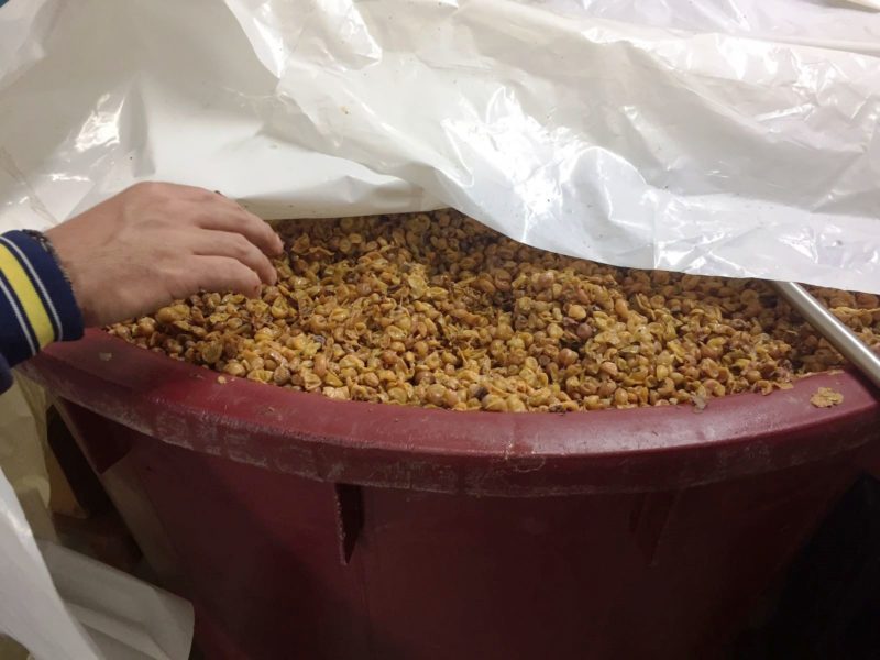 Davide Spillare discepolo Maule diventato grande 6