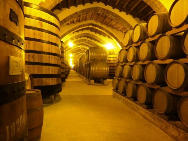 Marsala visita alle Cantine Florio storia modernita 3