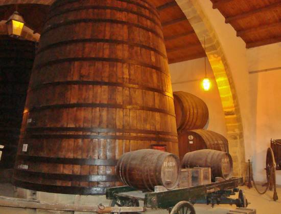 Marsala visita alle Cantine Florio storia modernità 6 1